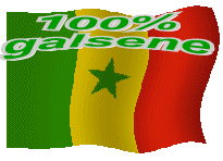 100000000000000000000000/100 galséné